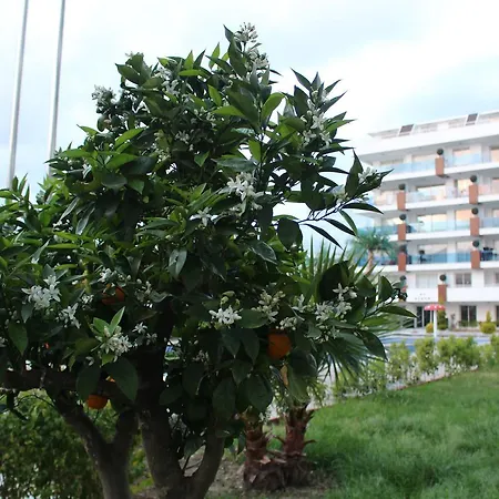 Rising Blue Kestel Apartment Alanya