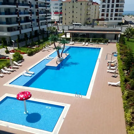 Rising Blue Kestel * Alanya